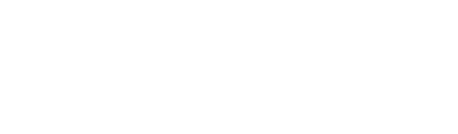 DCH-HealthPlan_Logo_Horizontal_REV