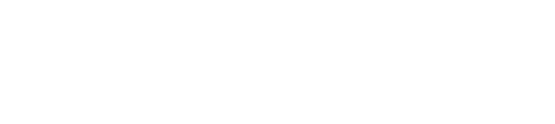 big-en-807-logo-whitepng
